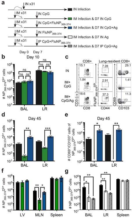 https://cdn.ncbi.nlm.nih.gov/pmc/blobs/6488/6030505/be43c7d20f25/nihms935988f2.jpg