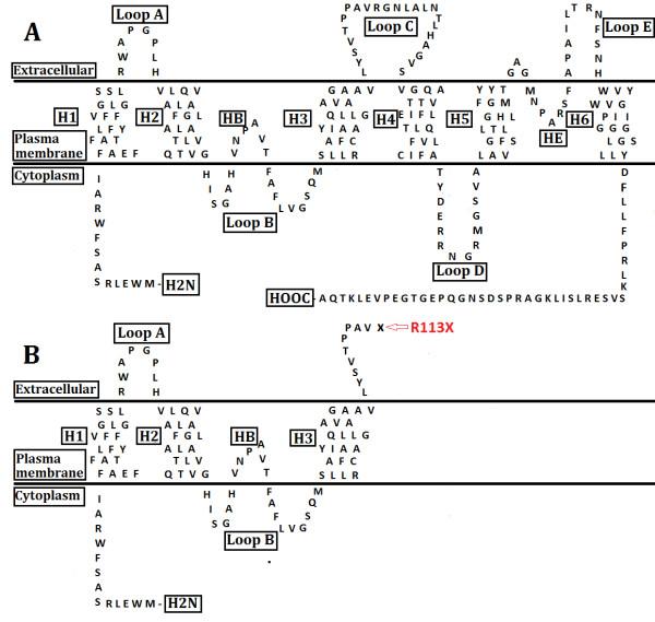 https://cdn.ncbi.nlm.nih.gov/pmc/blobs/648a/3890554/1e39919f364a/1471-2350-15-6-5.jpg