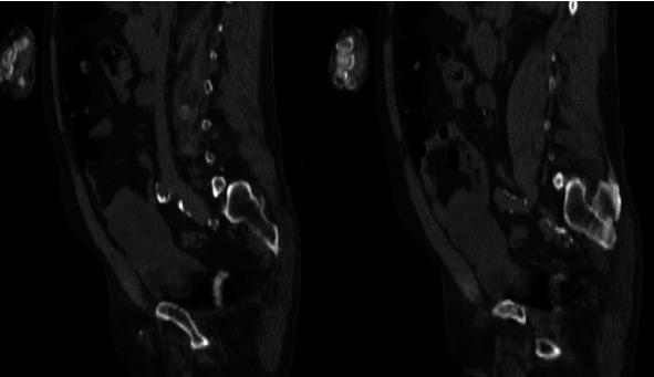 https://cdn.ncbi.nlm.nih.gov/pmc/blobs/6491/8483930/f9e91d97682d/CRIU2021-5827120.002.jpg