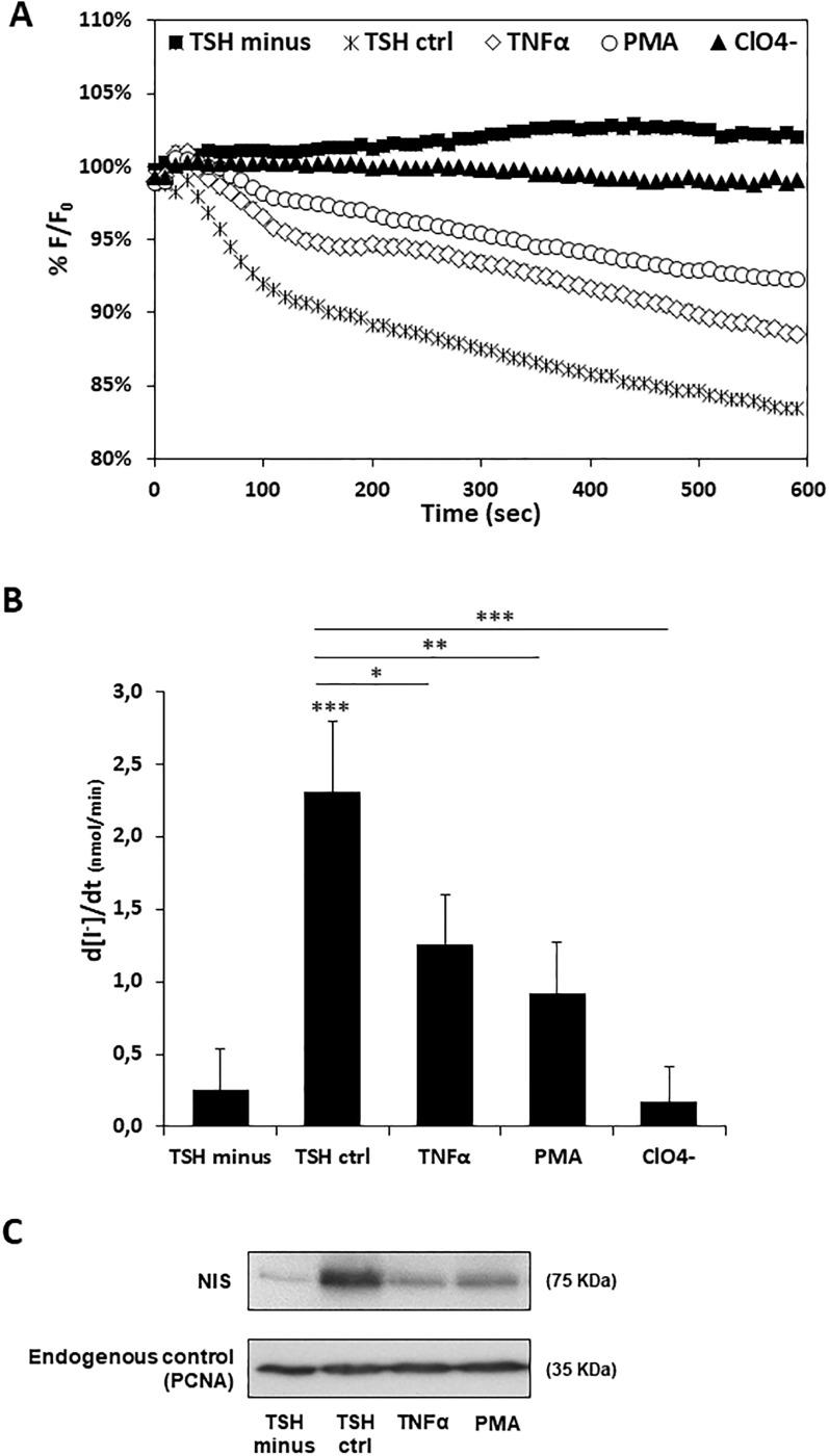 https://cdn.ncbi.nlm.nih.gov/pmc/blobs/6493/7015378/6bef786752f4/pone.0228794.g003.jpg