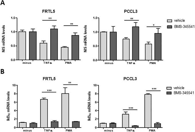 https://cdn.ncbi.nlm.nih.gov/pmc/blobs/6493/7015378/c89347eede3d/pone.0228794.g002.jpg