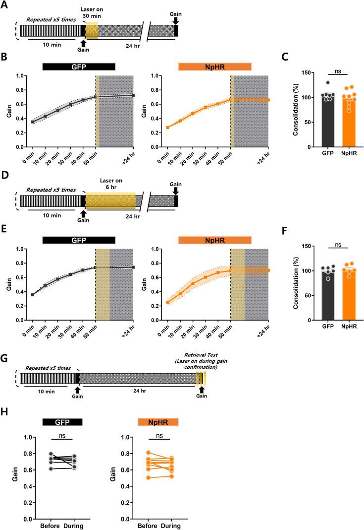 https://cdn.ncbi.nlm.nih.gov/pmc/blobs/6494/12404610/4bd9b1fa36e0/elife-95838-fig4.jpg