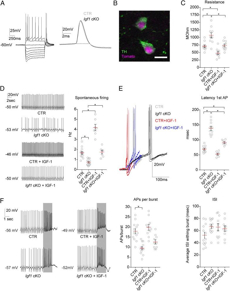 https://cdn.ncbi.nlm.nih.gov/pmc/blobs/6497/6397563/6a61a0dcd31c/pnas.1806820116fig06.jpg