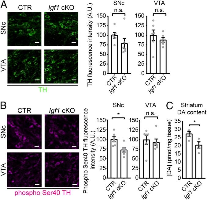 https://cdn.ncbi.nlm.nih.gov/pmc/blobs/6497/6397563/80dc4f9ea7e5/pnas.1806820116fig05.jpg