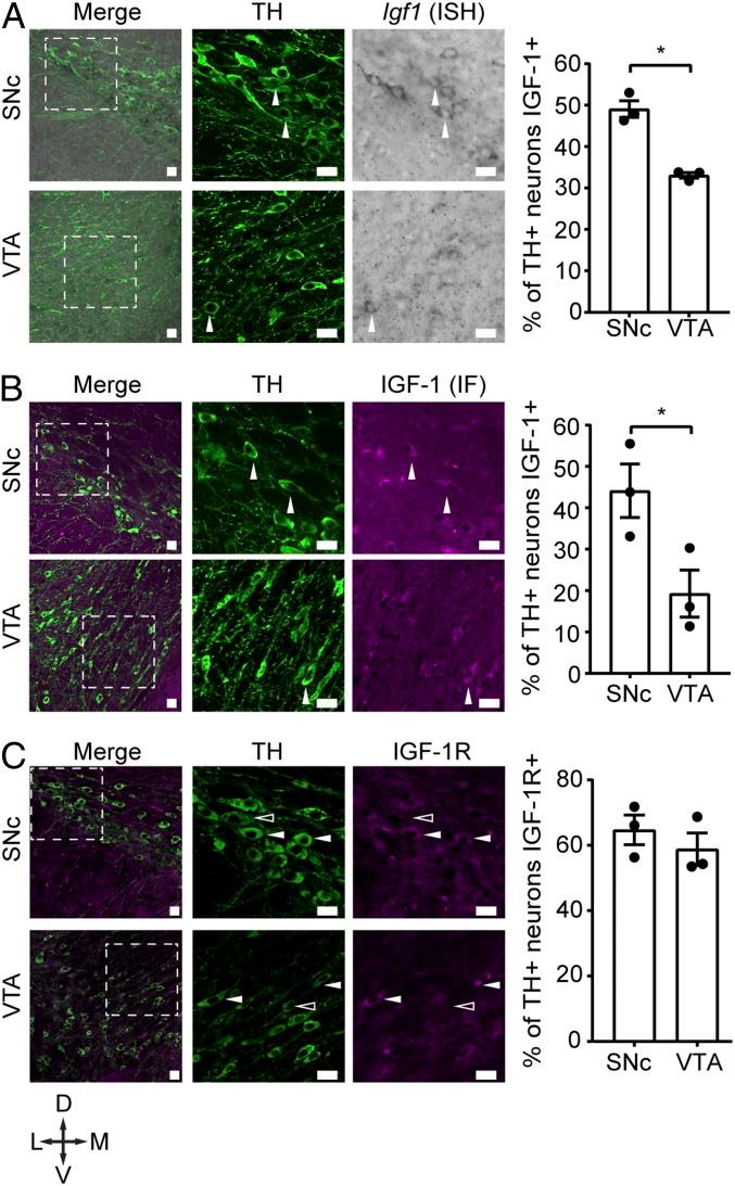 https://cdn.ncbi.nlm.nih.gov/pmc/blobs/6497/6397563/9eab05b5b68c/pnas.1806820116fig01.jpg
