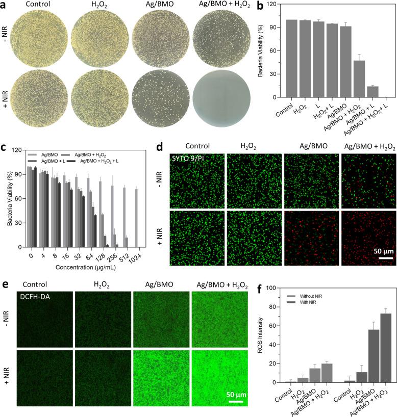 https://cdn.ncbi.nlm.nih.gov/pmc/blobs/6497/8958166/84e14ded9229/41392_2022_900_Fig3_HTML.jpg