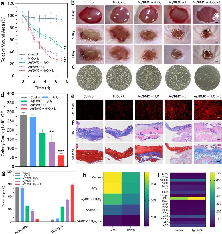 https://cdn.ncbi.nlm.nih.gov/pmc/blobs/6497/8958166/b6109098f03d/41392_2022_900_Fig4_HTML.jpg