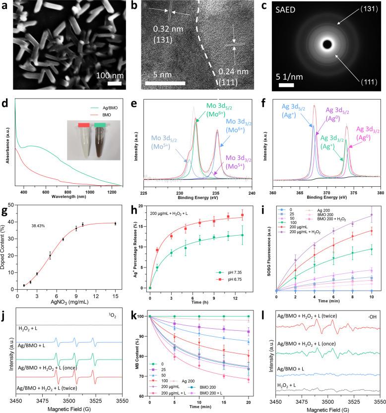 https://cdn.ncbi.nlm.nih.gov/pmc/blobs/6497/8958166/c8646bd3359f/41392_2022_900_Fig1_HTML.jpg
