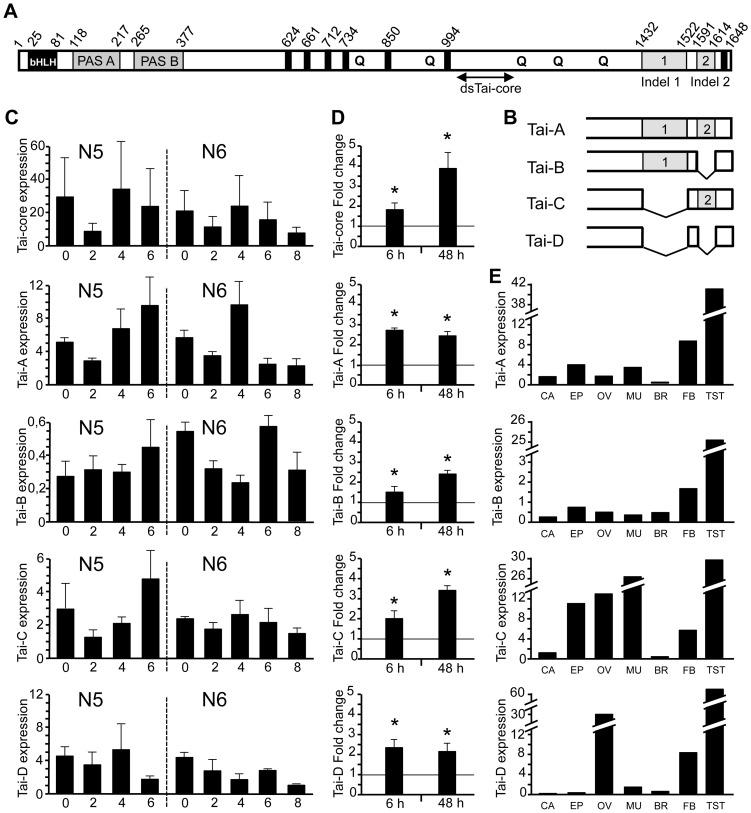 https://cdn.ncbi.nlm.nih.gov/pmc/blobs/6499/4214675/a2acffcf5e4a/pgen.1004769.g001.jpg