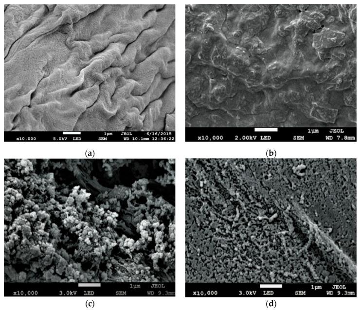https://cdn.ncbi.nlm.nih.gov/pmc/blobs/649a/7692318/aa517b224add/polymers-12-02521-g003.jpg