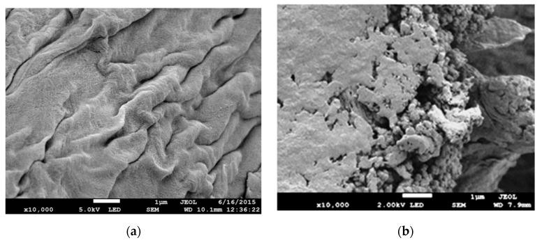 https://cdn.ncbi.nlm.nih.gov/pmc/blobs/649a/7692318/c650f403dcc6/polymers-12-02521-g004a.jpg