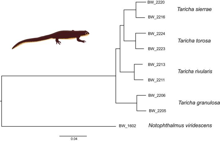 https://cdn.ncbi.nlm.nih.gov/pmc/blobs/649d/12343749/8cd7e0288cfa/ECE3-15-e71835-g003.jpg