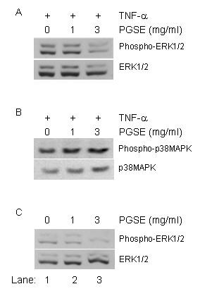 https://cdn.ncbi.nlm.nih.gov/pmc/blobs/649d/2689162/f3b9a3951d52/1479-5876-7-34-5.jpg