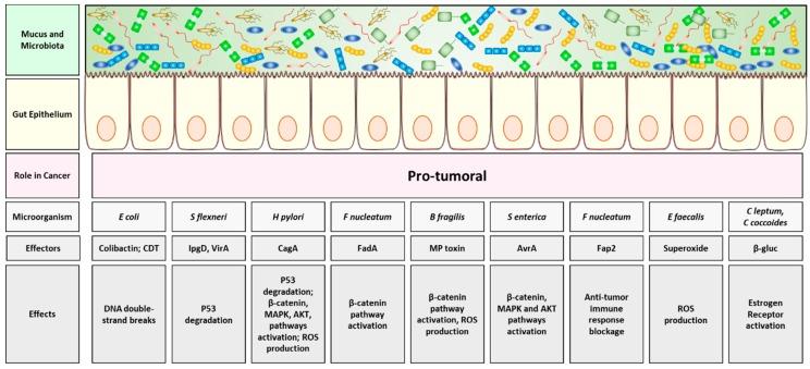 https://cdn.ncbi.nlm.nih.gov/pmc/blobs/649e/6356461/721fdfe421a5/cancers-11-00038-g002.jpg