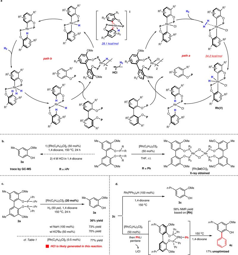 https://cdn.ncbi.nlm.nih.gov/pmc/blobs/64a1/6383370/5f483c7ed480/nihms-1506380-f0002.jpg