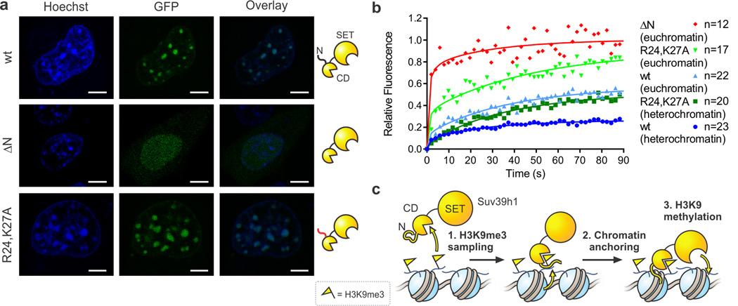 https://cdn.ncbi.nlm.nih.gov/pmc/blobs/64a2/4876634/7ec5b664308f/nihms741030f5.jpg