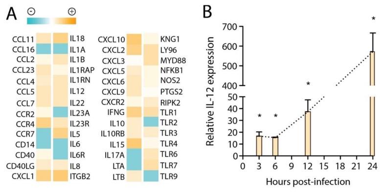 https://cdn.ncbi.nlm.nih.gov/pmc/blobs/64a2/7761533/8ff77c3494d7/viruses-12-01379-g003.jpg