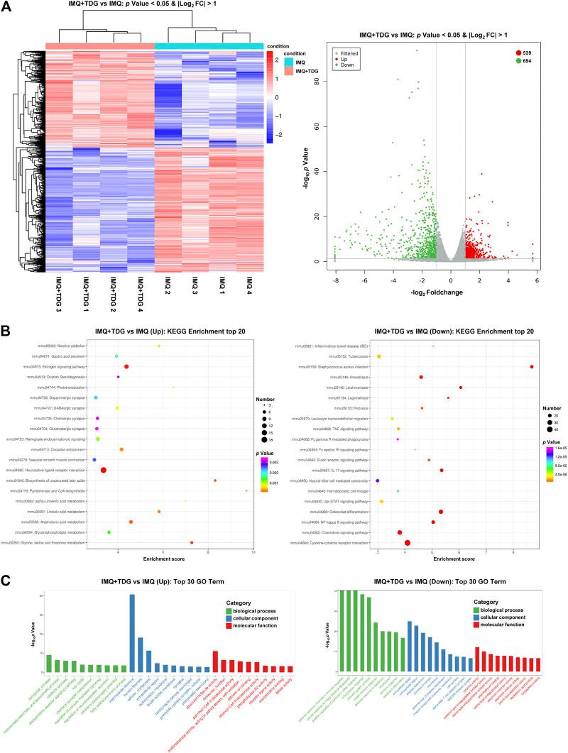 https://cdn.ncbi.nlm.nih.gov/pmc/blobs/64a3/8114823/58adcbbf82e4/fphar-12-632414-g003.jpg