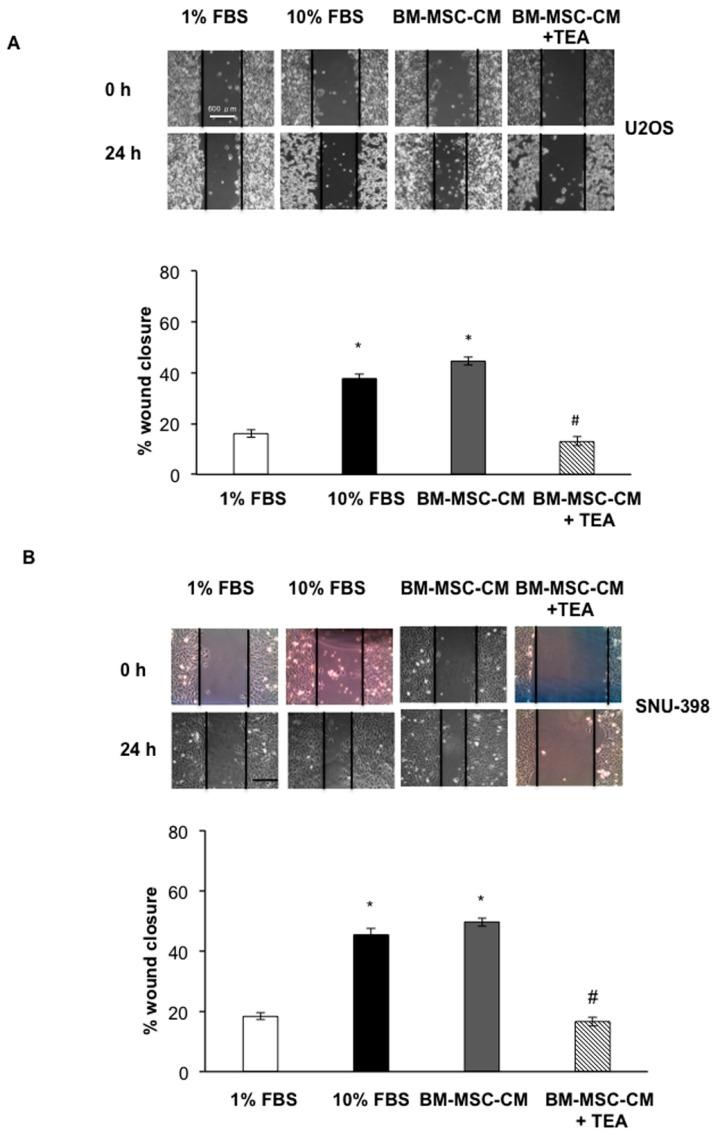 https://cdn.ncbi.nlm.nih.gov/pmc/blobs/64a4/4964478/0d04e5efbee4/ijms-17-01102-g003.jpg