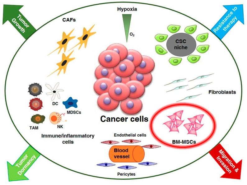 https://cdn.ncbi.nlm.nih.gov/pmc/blobs/64a4/4964478/0fb093b89794/ijms-17-01102-g001.jpg