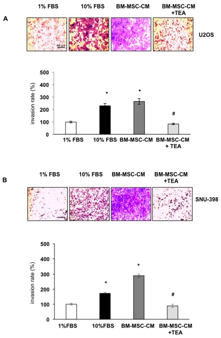 https://cdn.ncbi.nlm.nih.gov/pmc/blobs/64a4/4964478/c2a2e4d77c91/ijms-17-01102-g004.jpg