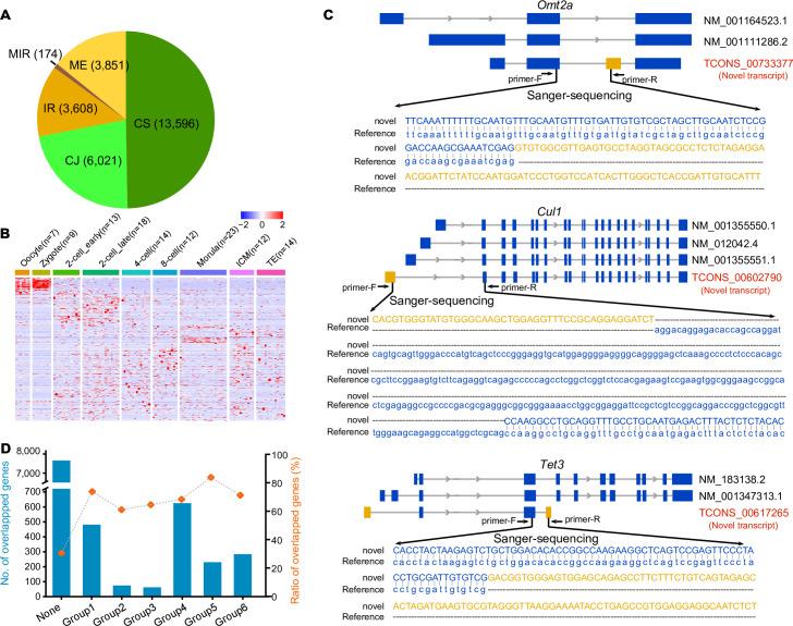 https://cdn.ncbi.nlm.nih.gov/pmc/blobs/64a4/7773192/f0d1ad668d52/pbio.3001017.g004.jpg
