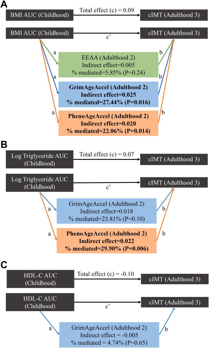 https://cdn.ncbi.nlm.nih.gov/pmc/blobs/64a7/11228118/ccbcd86cdfe7/gr4.jpg