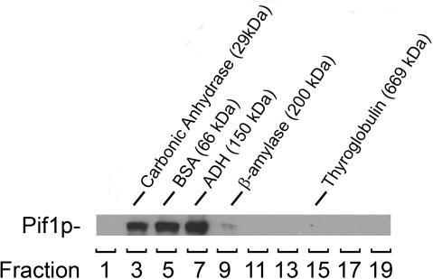https://cdn.ncbi.nlm.nih.gov/pmc/blobs/64a7/2034482/063a8fd4d104/gkm613f7.jpg