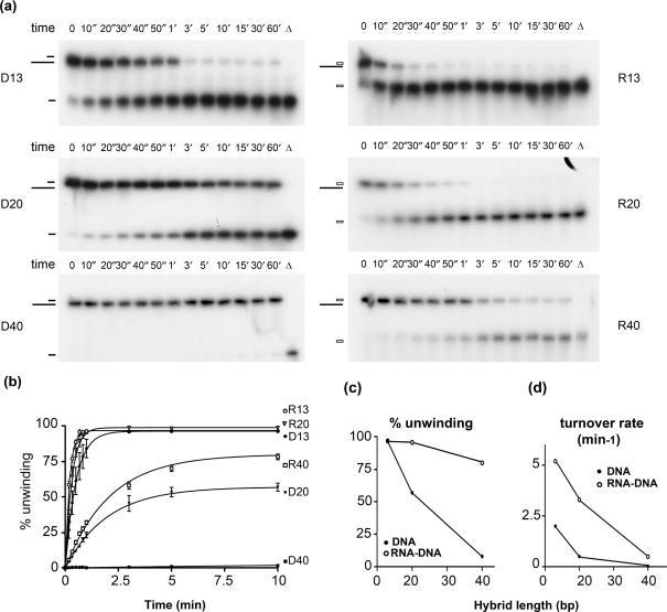 https://cdn.ncbi.nlm.nih.gov/pmc/blobs/64a7/2034482/6793a5e7602a/gkm613f3.jpg