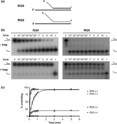 https://cdn.ncbi.nlm.nih.gov/pmc/blobs/64a7/2034482/bb2d900b08ed/gkm613f4.jpg