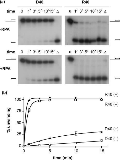https://cdn.ncbi.nlm.nih.gov/pmc/blobs/64a7/2034482/db4b09bbf494/gkm613f6.jpg