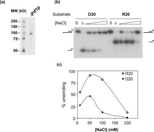 https://cdn.ncbi.nlm.nih.gov/pmc/blobs/64a7/2034482/e7ae459ec445/gkm613f1.jpg