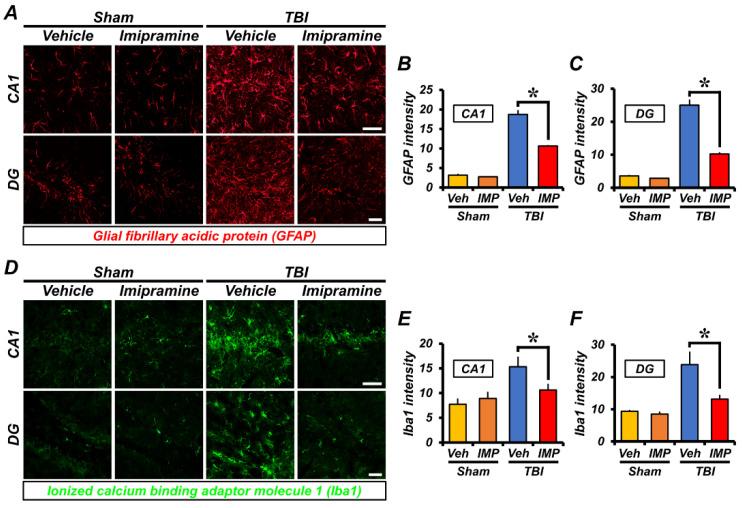 https://cdn.ncbi.nlm.nih.gov/pmc/blobs/64a7/9740309/eb59fde3926c/ijms-23-14749-g004.jpg