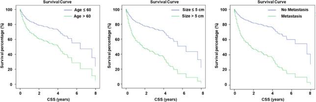 https://cdn.ncbi.nlm.nih.gov/pmc/blobs/64a9/11186379/14deac07c486/fendo-15-1344795-g005.jpg
