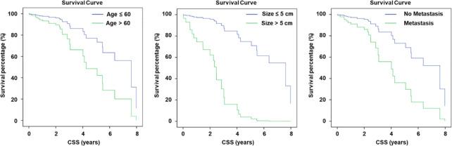 https://cdn.ncbi.nlm.nih.gov/pmc/blobs/64a9/11186379/671c3dc767a6/fendo-15-1344795-g003.jpg