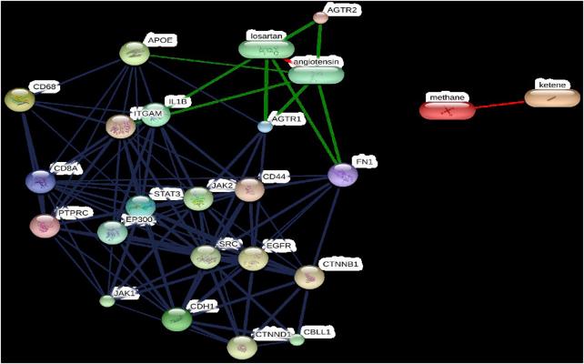 https://cdn.ncbi.nlm.nih.gov/pmc/blobs/64af/12343563/3ce9cc6d58d2/fragi-06-1618082-g005.jpg