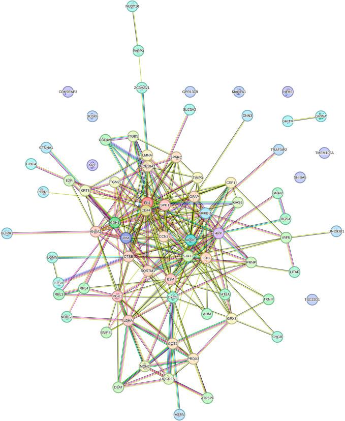 https://cdn.ncbi.nlm.nih.gov/pmc/blobs/64af/12343563/41a9daeb1a23/fragi-06-1618082-g002.jpg