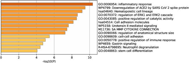 https://cdn.ncbi.nlm.nih.gov/pmc/blobs/64af/12343563/92d7e3a213c0/fragi-06-1618082-g004.jpg