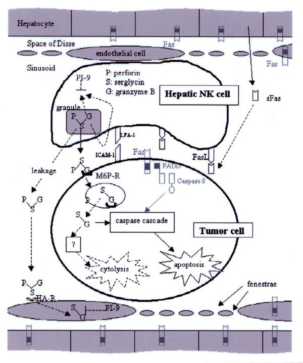 https://cdn.ncbi.nlm.nih.gov/pmc/blobs/64af/2410270/f2e3164e023c/1476-5926-3-S1-S58-3.jpg