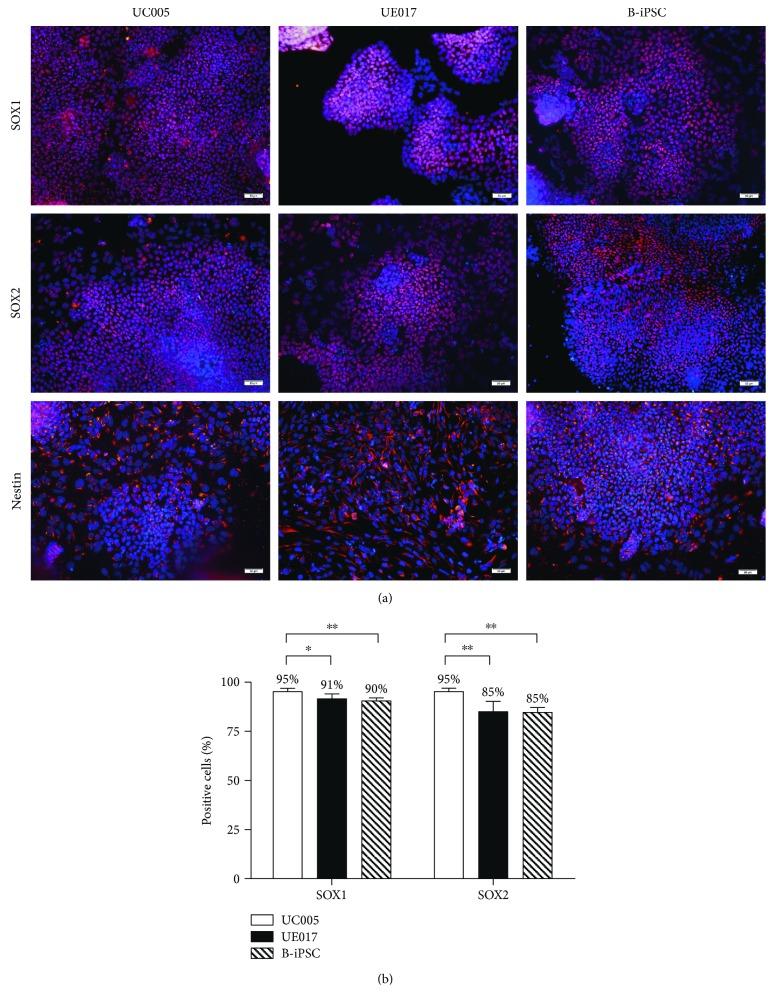 https://cdn.ncbi.nlm.nih.gov/pmc/blobs/64af/5829358/dda2873c283e/SCI2018-3628578.003.jpg