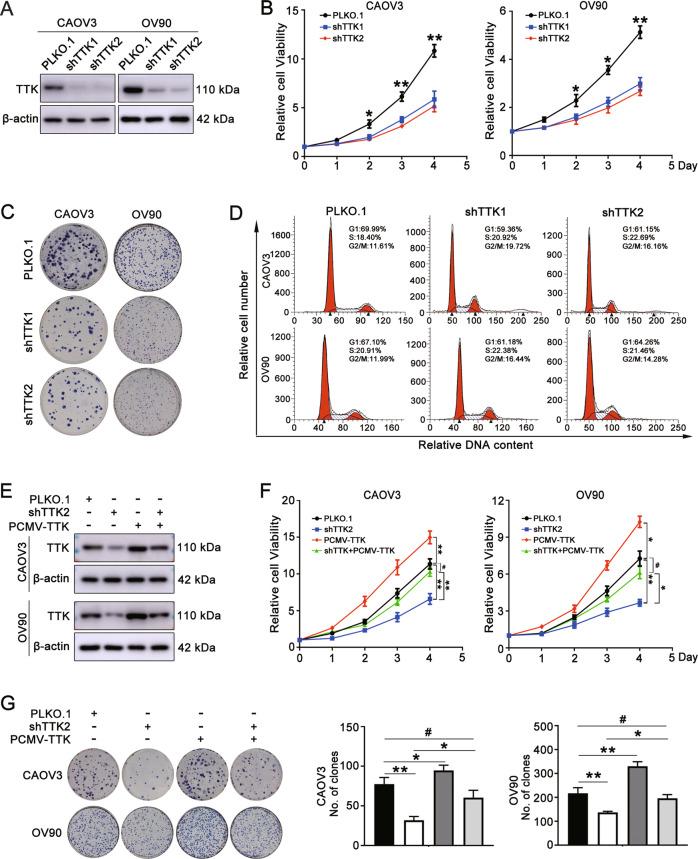 https://cdn.ncbi.nlm.nih.gov/pmc/blobs/64af/8651821/f2eaccbf0aef/41419_2021_4429_Fig2_HTML.jpg