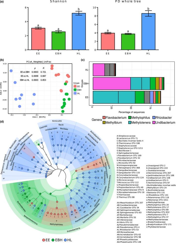 https://cdn.ncbi.nlm.nih.gov/pmc/blobs/64b2/6460355/e24f6619245d/MBO3-8-e00672-g002.jpg