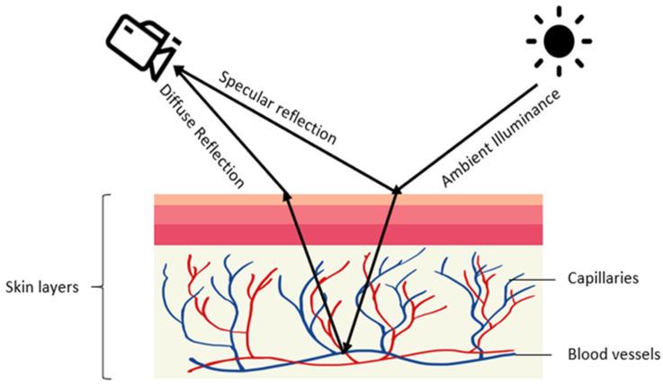 https://cdn.ncbi.nlm.nih.gov/pmc/blobs/64b3/8198867/d10abca8e906/sensors-21-03719-g002.jpg