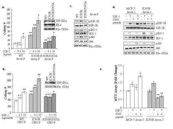https://cdn.ncbi.nlm.nih.gov/pmc/blobs/64b4/2922934/1cf82223f546/nihms-159832-f0005.jpg