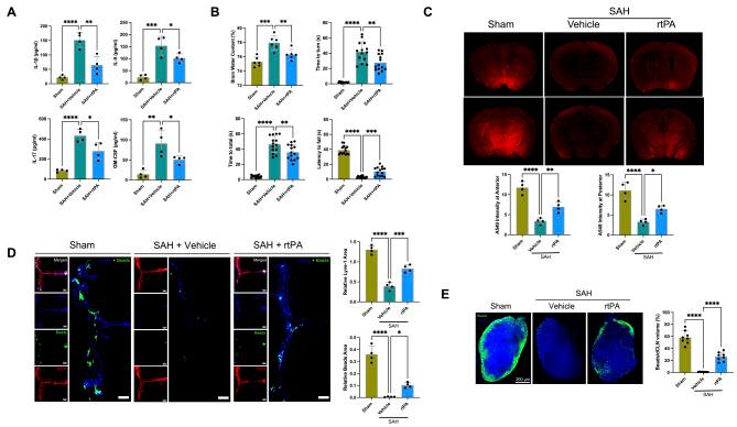https://cdn.ncbi.nlm.nih.gov/pmc/blobs/64b5/11438016/84289dba4c98/12974_2024_3236_Fig5_HTML.jpg