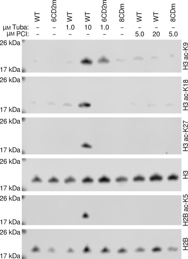 https://cdn.ncbi.nlm.nih.gov/pmc/blobs/64b5/11705486/90e891523802/FEB4-15-94-g002.jpg