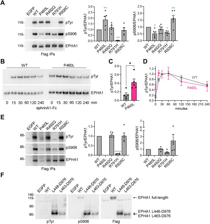 https://cdn.ncbi.nlm.nih.gov/pmc/blobs/64b5/11773478/1139fe155d63/gr6.jpg