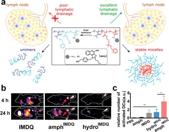 https://cdn.ncbi.nlm.nih.gov/pmc/blobs/64b5/7709995/12d589e9fa20/ADVS-7-2002365-g004.jpg