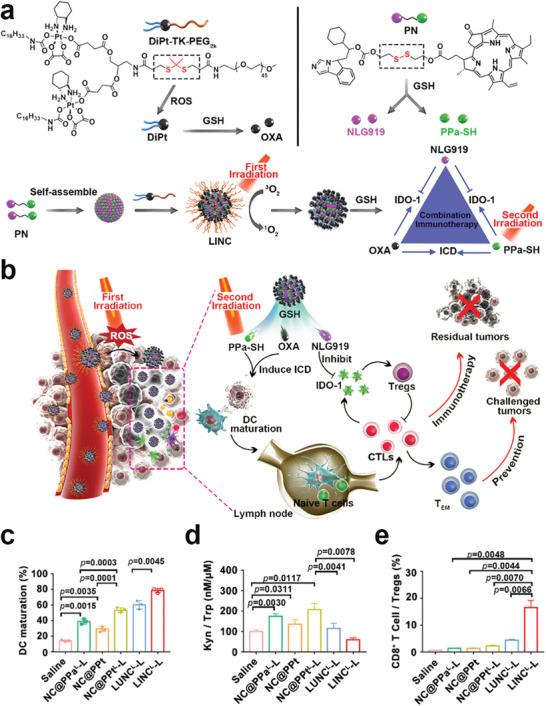 https://cdn.ncbi.nlm.nih.gov/pmc/blobs/64b5/7709995/4cd4f703c4f0/ADVS-7-2002365-g021.jpg