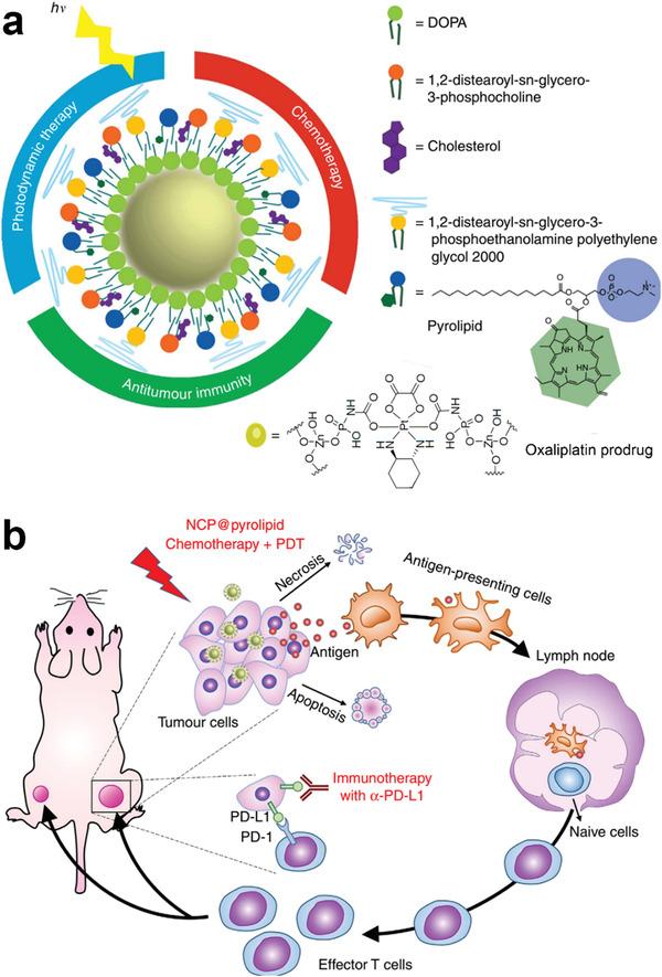 https://cdn.ncbi.nlm.nih.gov/pmc/blobs/64b5/7709995/52d661281bcc/ADVS-7-2002365-g012.jpg